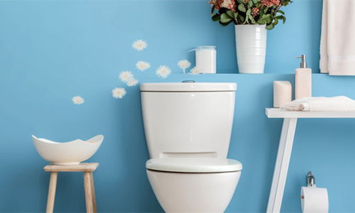 中國(guó)衛(wèi)浴潔具行業(yè)發(fā)展?fàn)顩r與展望